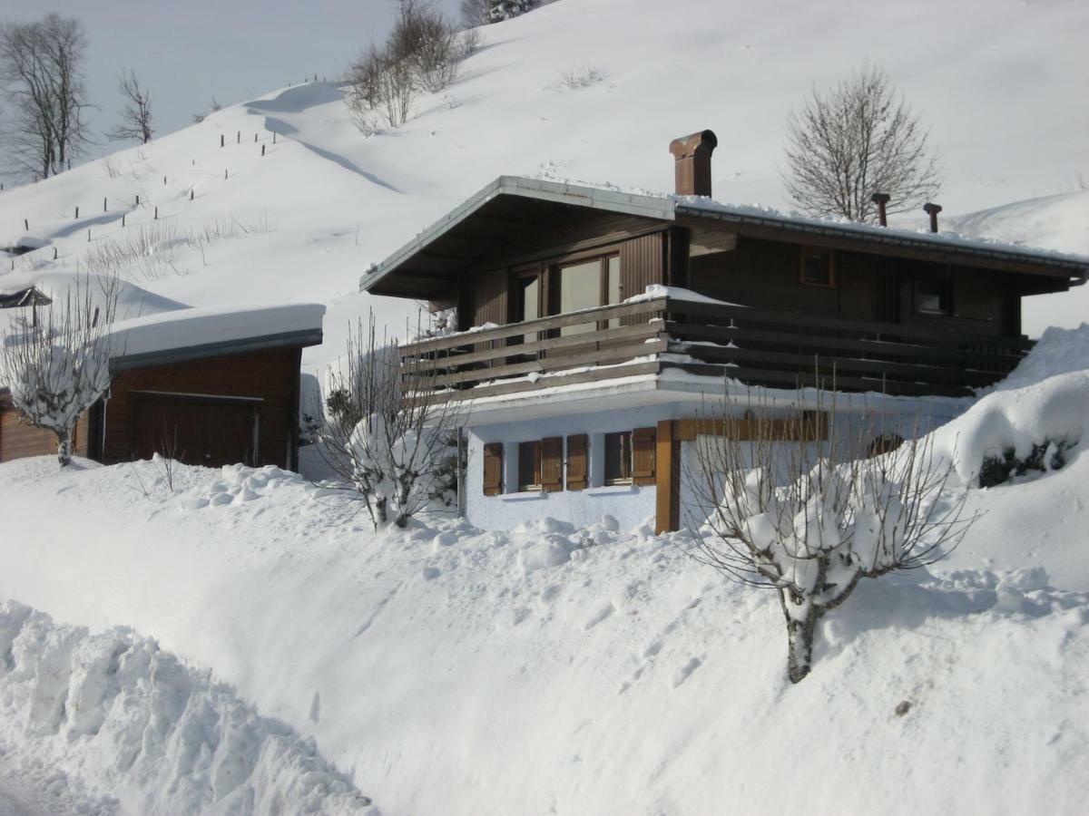 Villa les Genêts à La Bresse Extérieur photo