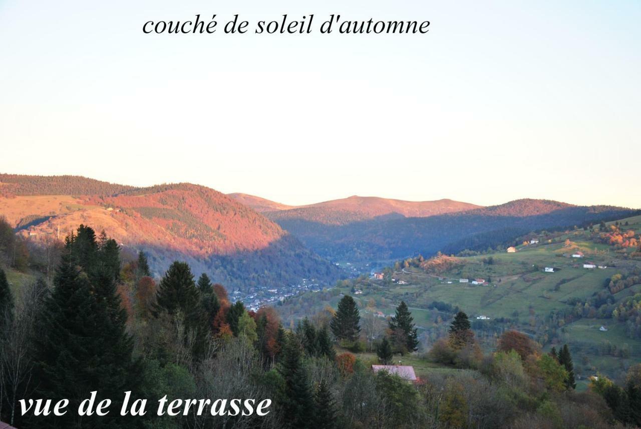 Villa les Genêts à La Bresse Extérieur photo