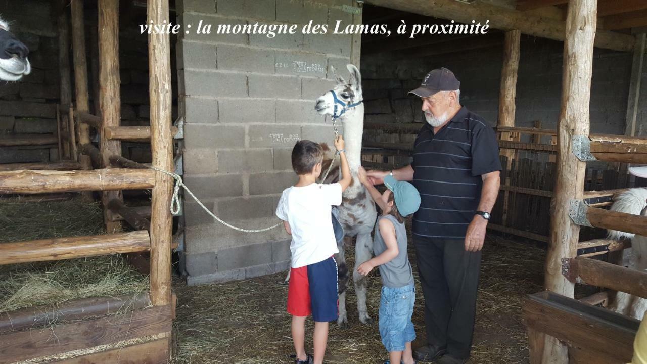 Villa les Genêts à La Bresse Extérieur photo