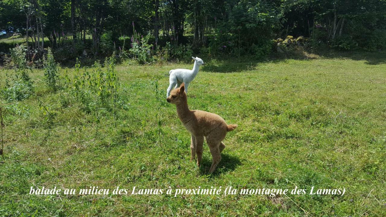 Villa les Genêts à La Bresse Extérieur photo